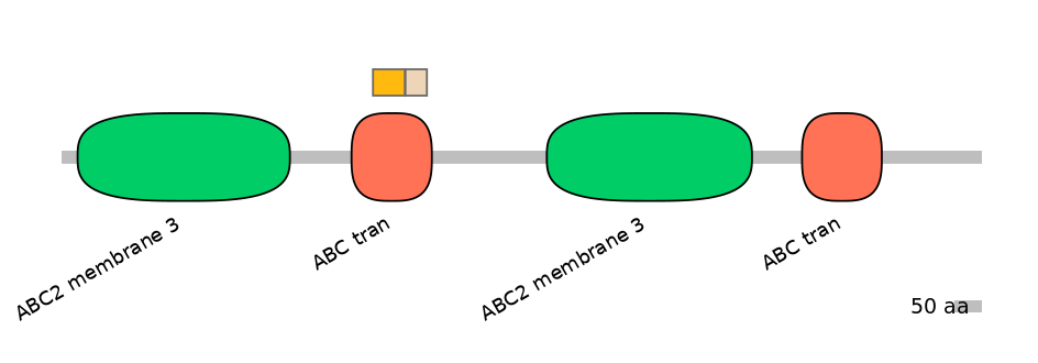 HsaINT0000710-EXC