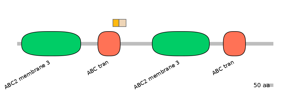 HsaINT0000711-EXC