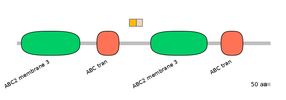 HsaINT0000714-EXC