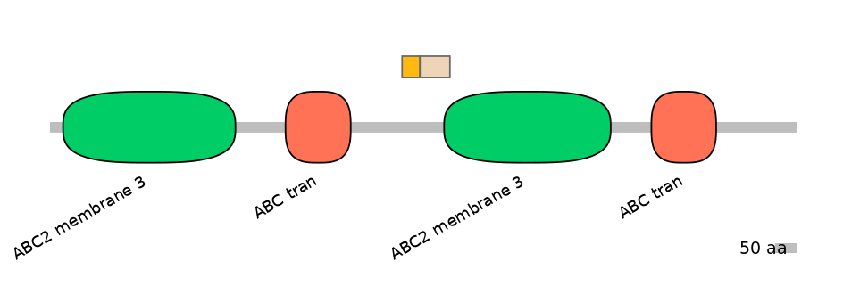 HsaINT0000715-EXC