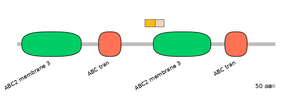 HsaINT0000716-EXC