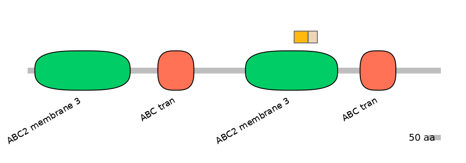 HsaINT0000722-EXC