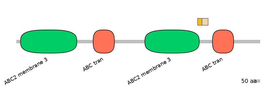 HsaINT0000726-EXC
