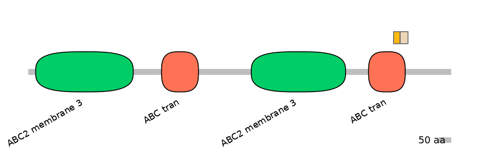 HsaINT0000732-EXC