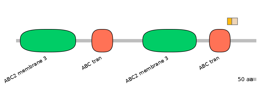 HsaINT0000733-EXC