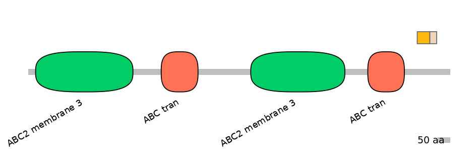 HsaINT0000735-EXC