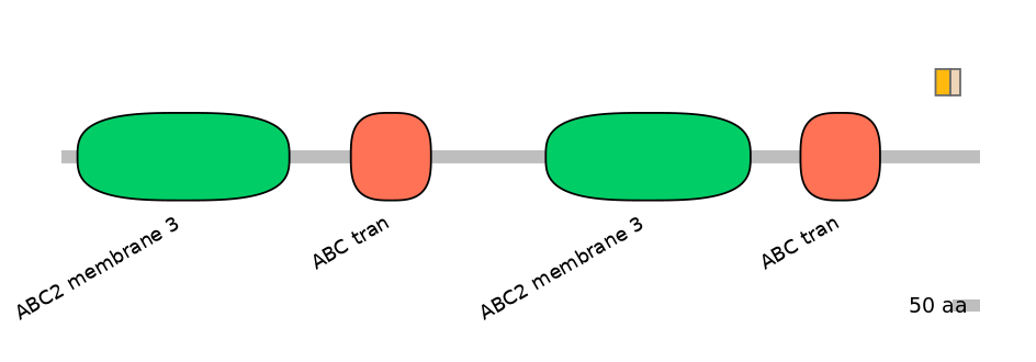 HsaINT0000736-EXC