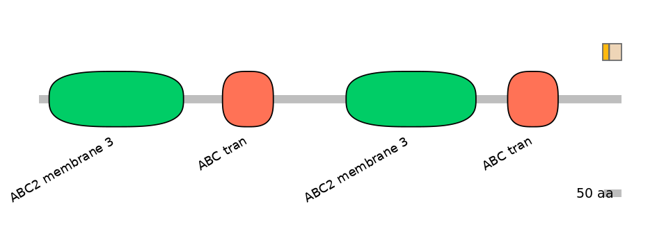 HsaINT0000737-EXC