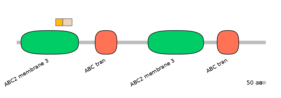HsaINT0000740-EXC