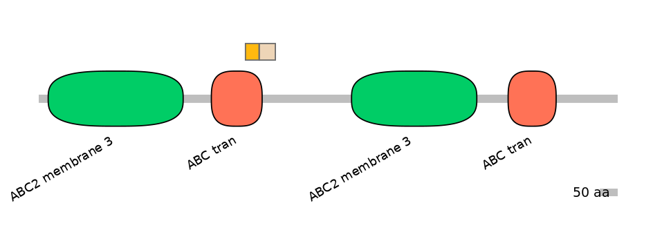 HsaINT0000749-EXC