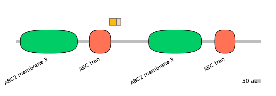 HsaINT0000750-EXC