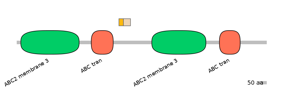 HsaINT0000751-EXC