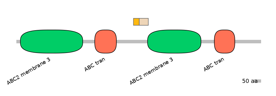 HsaINT0000753-EXC