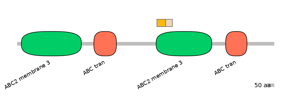 HsaINT0000756-EXC
