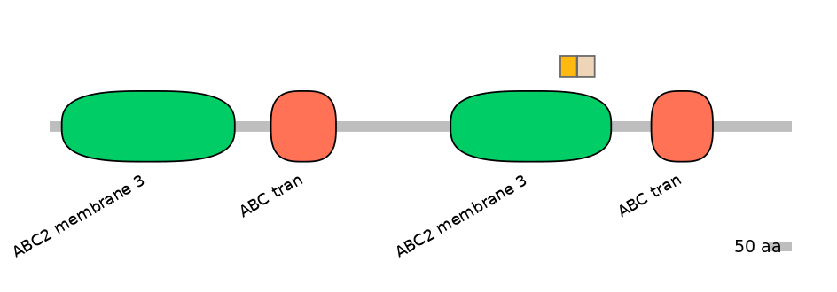HsaINT0000761-EXC