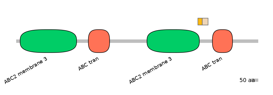 HsaINT0000764-EXC