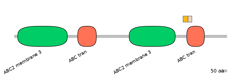 HsaINT0000767-EXC