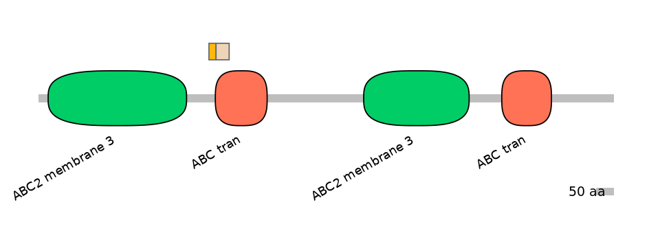 HsaINT0000830-EXC