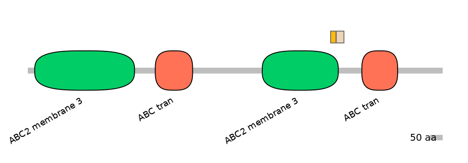 HsaINT0000846-EXC