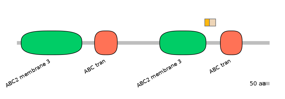 HsaINT0000847-EXC
