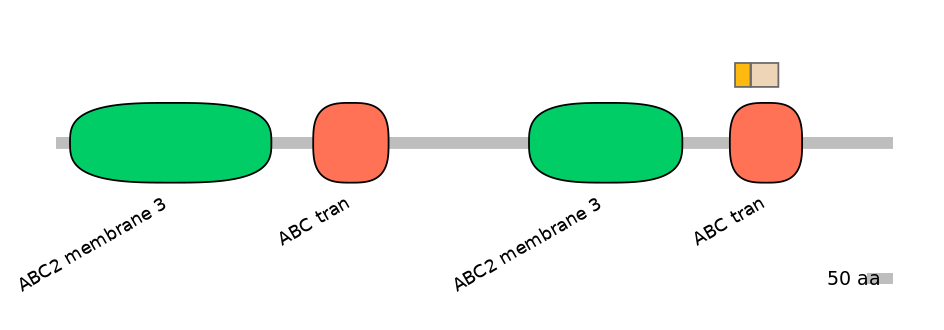 HsaINT0000851-EXC