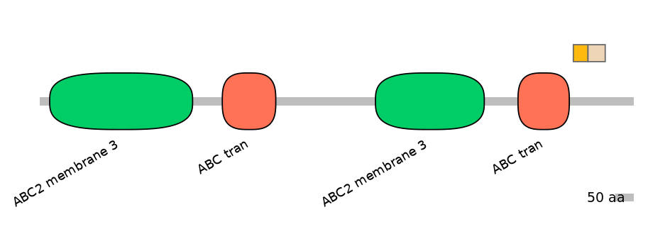 HsaINT0000855-EXC