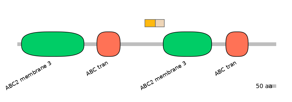 HsaINT0000875-EXC