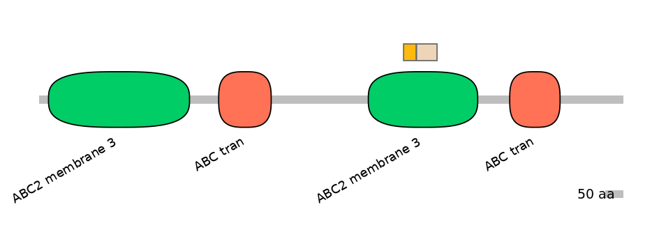 HsaINT0000880-EXC