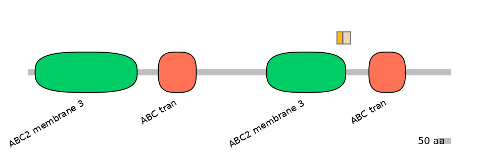 HsaINT0000884-EXC