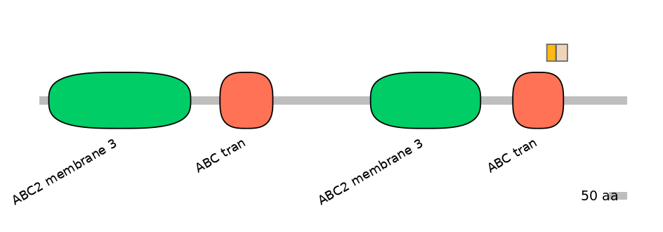 HsaINT0000891-EXC