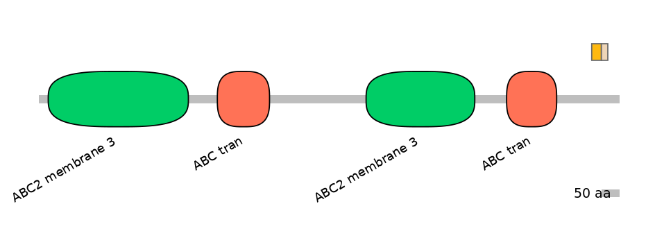 HsaINT0000895-EXC