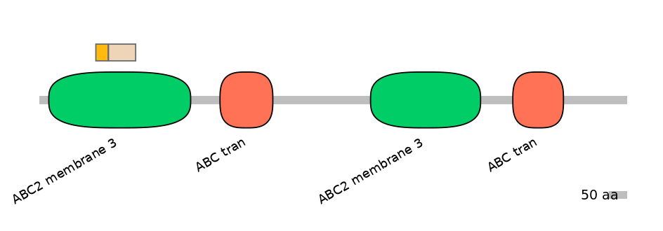 HsaINT0000898-EXC