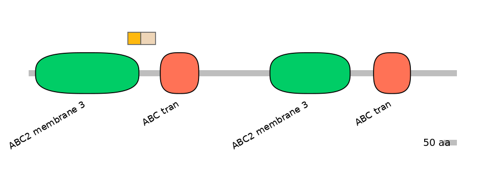 HsaINT0000902-EXC