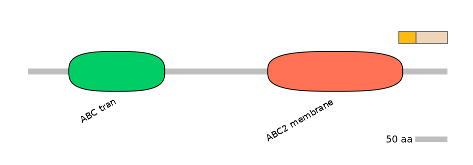 HsaINT0001573-EXC