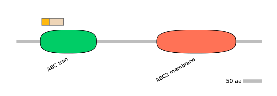HsaINT0001575-EXC