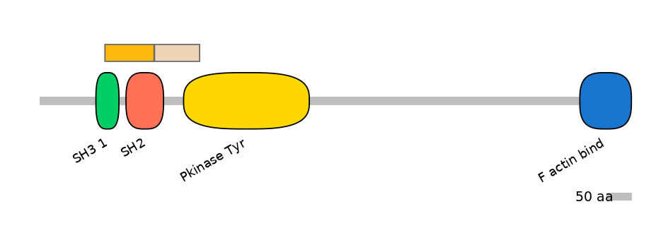 HsaINT0001798-EXC