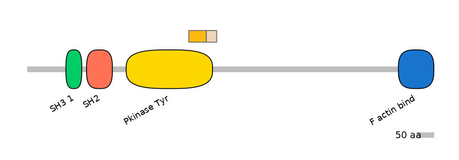 HsaINT0001803-EXC