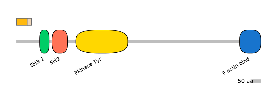 HsaINT0001805-EXC