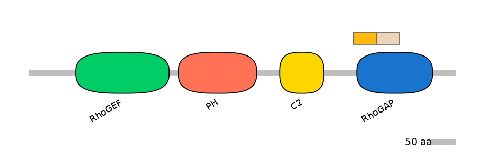 HsaINT0001900-EXC