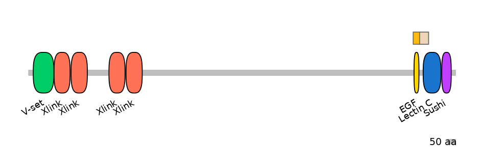 HsaINT0002215-EXC