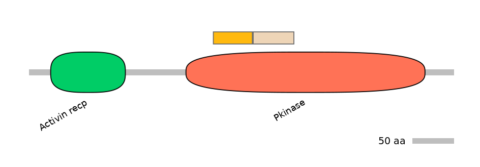 HsaINT0003385-EXC