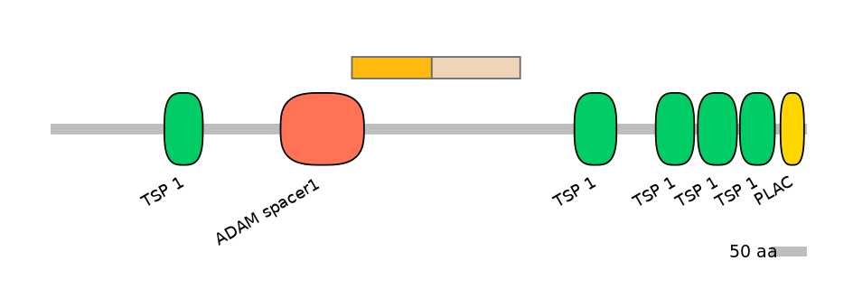 HsaINT0004309-EXC