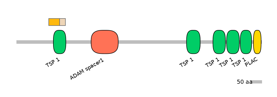 HsaINT0004311-EXC