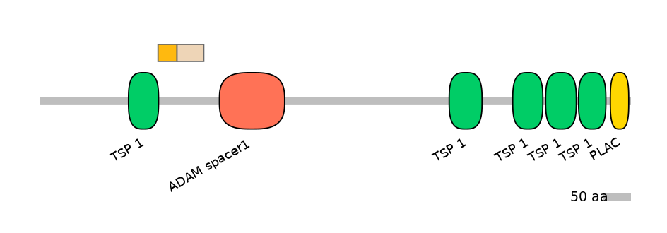 HsaINT0004313-EXC
