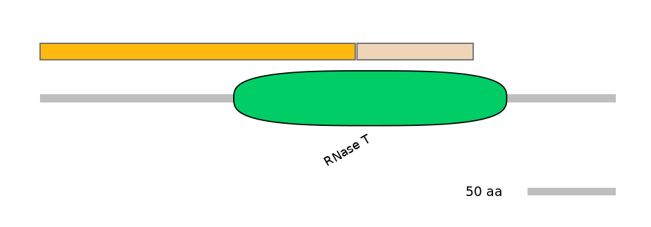 HsaINT0005077-EXC