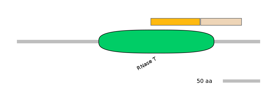 HsaINT0005078-EXC