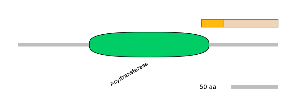 HsaINT0005590-EXC