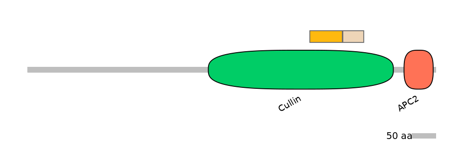 HsaINT0007883-EXC