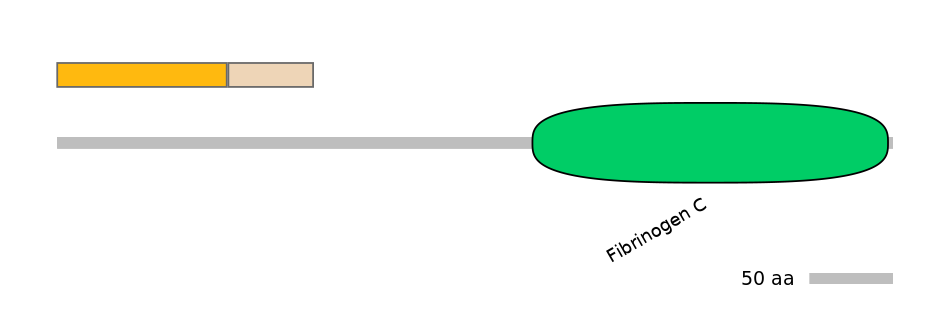 HsaINT0007983-EXC