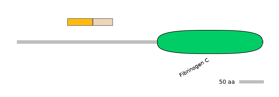 HsaINT0007984-EXC